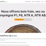 DrewPeco - French version